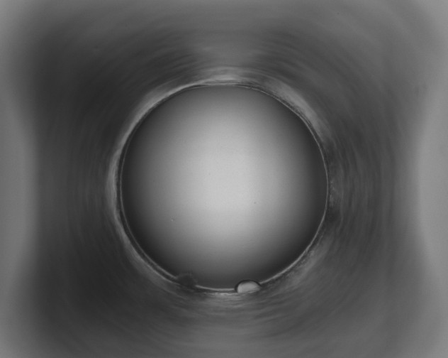 X0000101651483200807171242