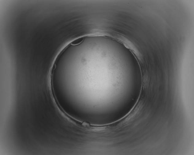 X0000101651484200807171242