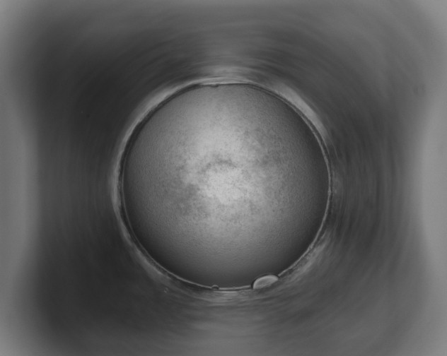 X0000101651485200807171242