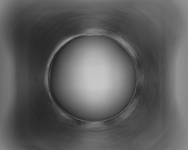 X0000101651486200807171242