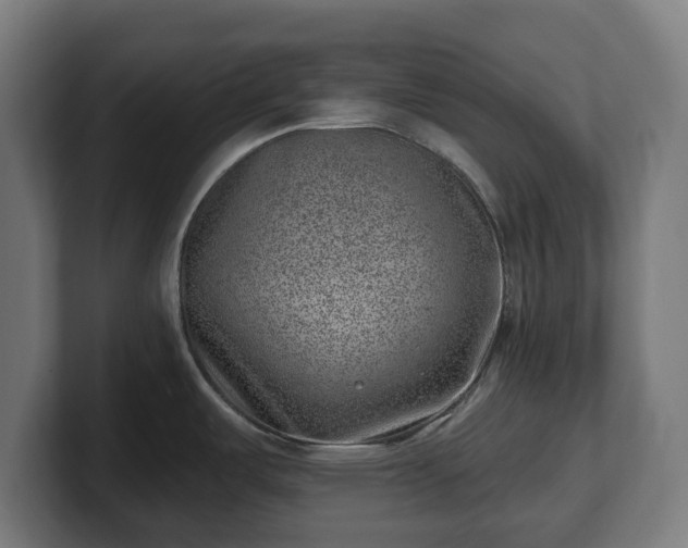 X0000101651487200807171242