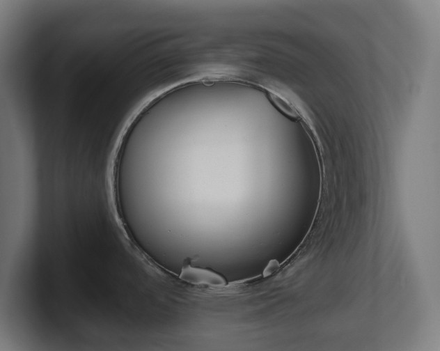 X0000101651488200807171242