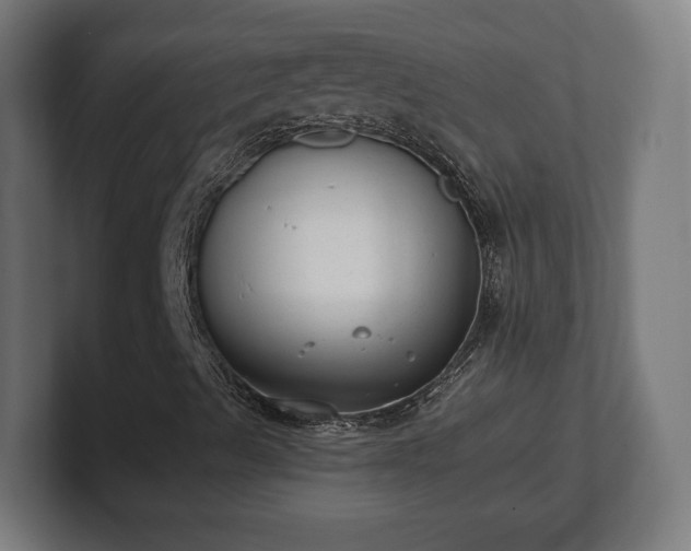 X0000101651489200807171242