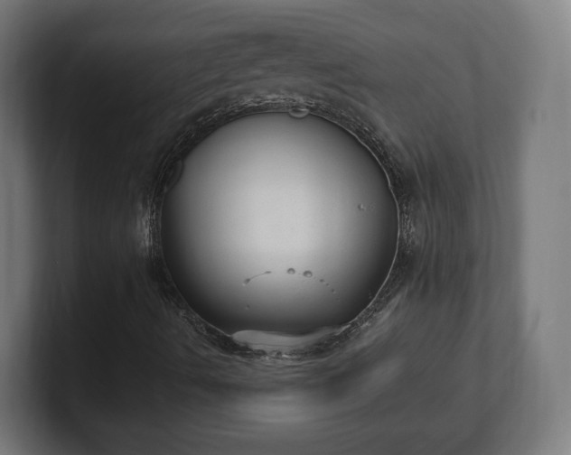 X0000101651490200807171242