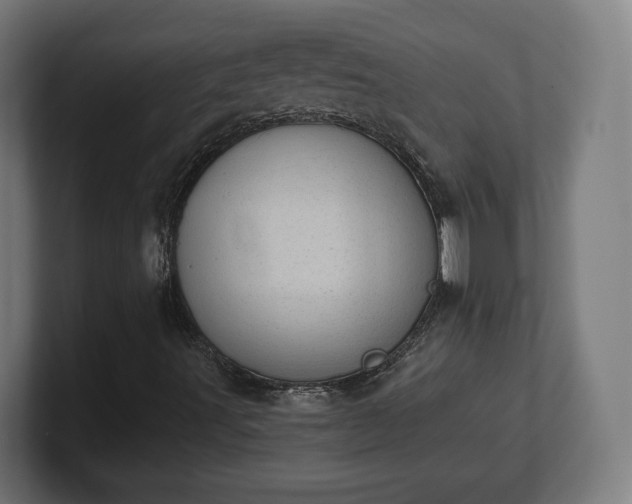 X0000101651491200807171242