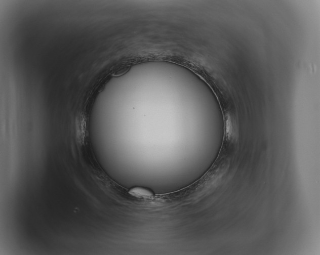 X0000101651492200807171242