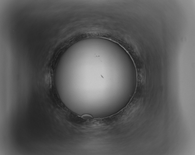 X0000101651493200807171242