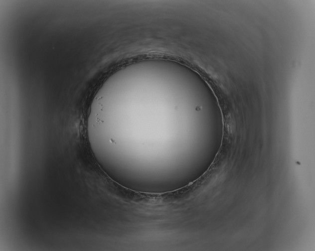 X0000101651495200807171242