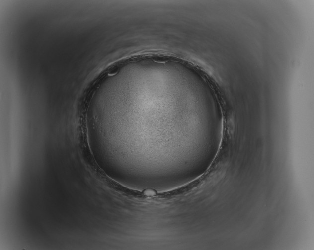 X0000101651496200807171242