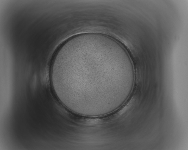 X0000101651498200807171242