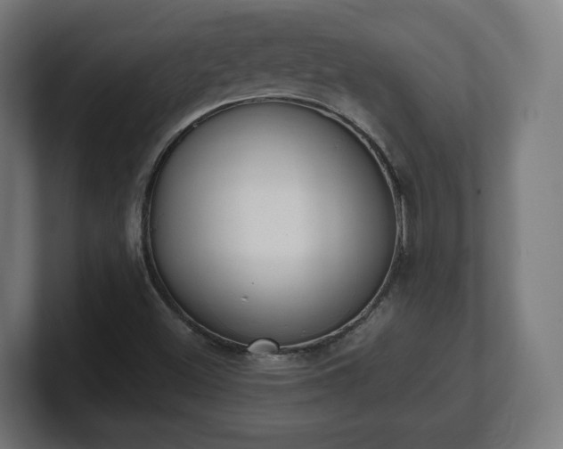 X0000101651500200807171242