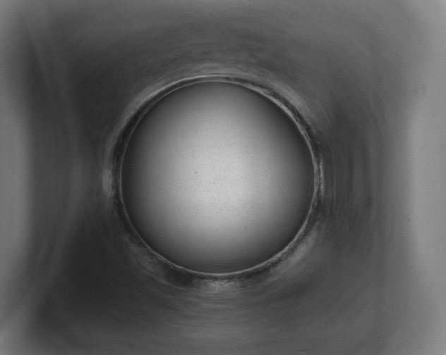 X0000101651501200807171242