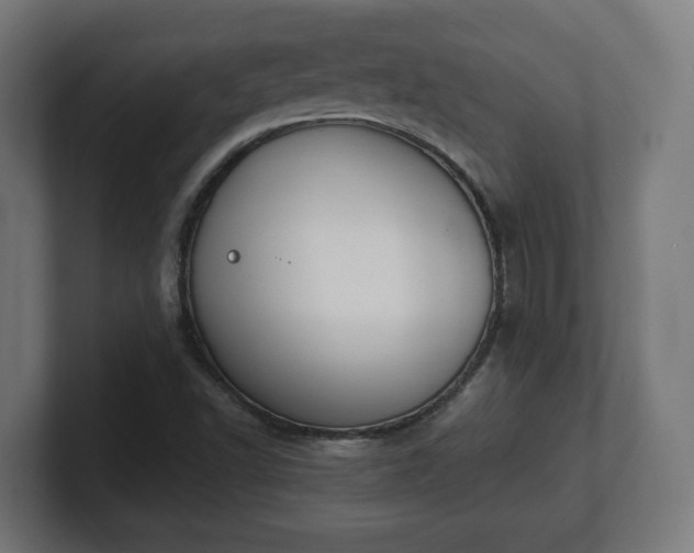 X0000101651502200807171242