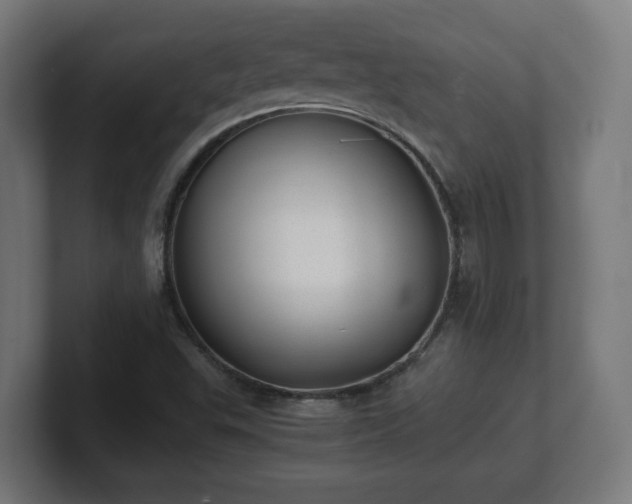 X0000101651503200807171242