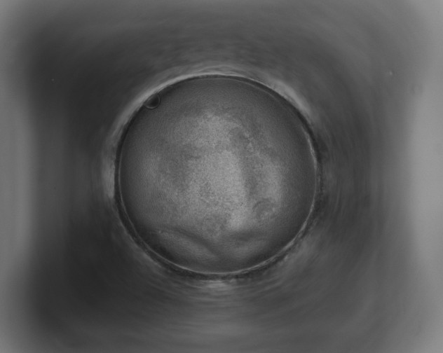 X0000101651504200807171242