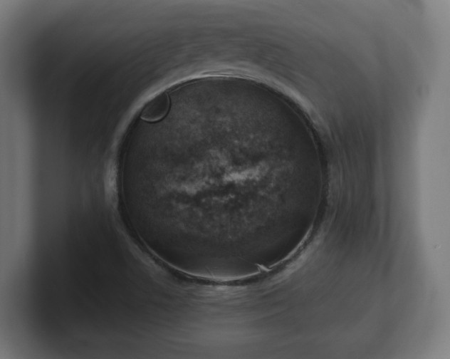 X0000101651506200807171242