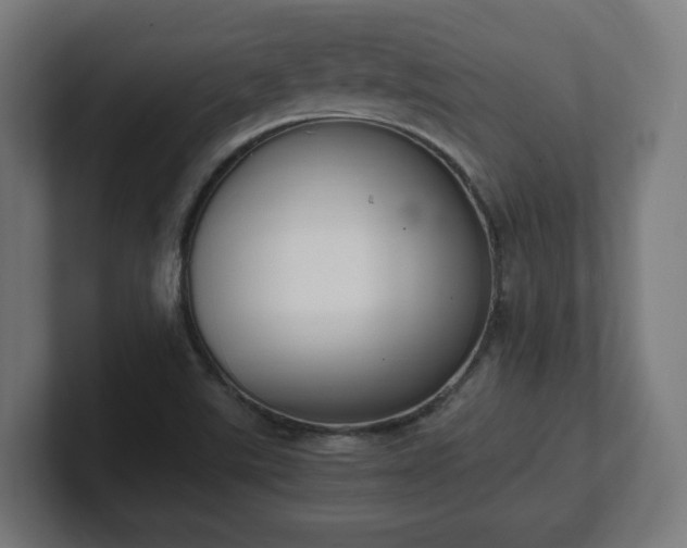 X0000101651507200807171242