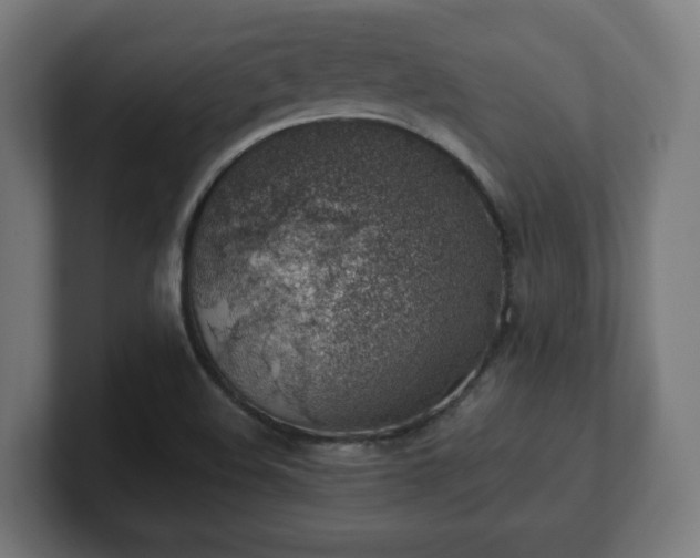 X0000101651508200807171242