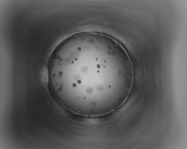 X0000101651509200807171242