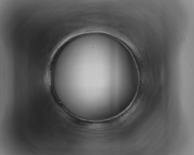 X0000101651510200807171242