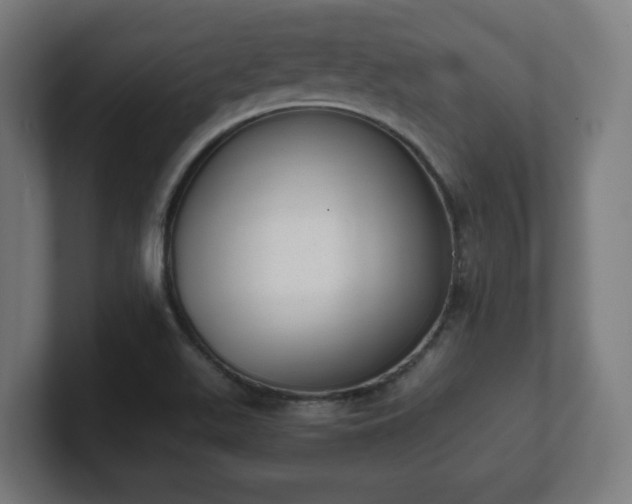 X0000101651511200807171242