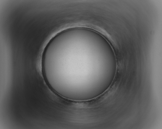 X0000101651512200807171242