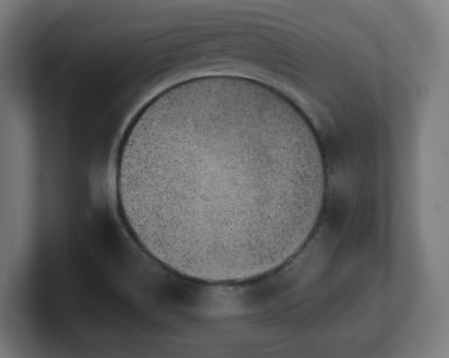 X0000101651514200807171242