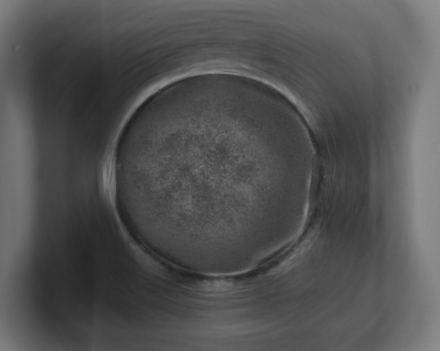 X0000101651515200807171242