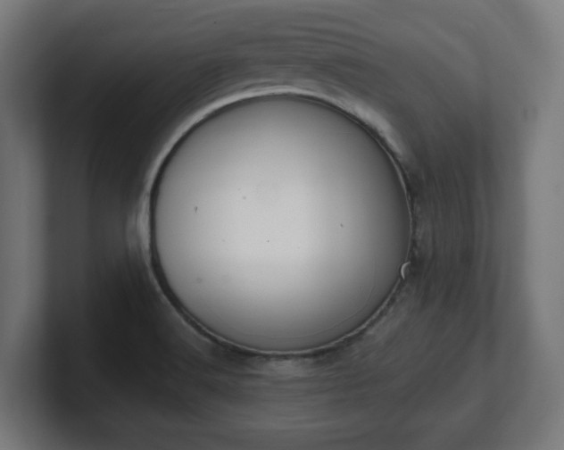 X0000101651516200807171242