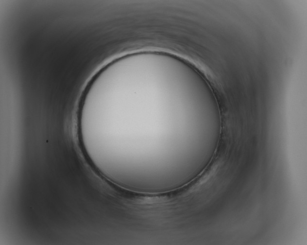 X0000101651518200807171242