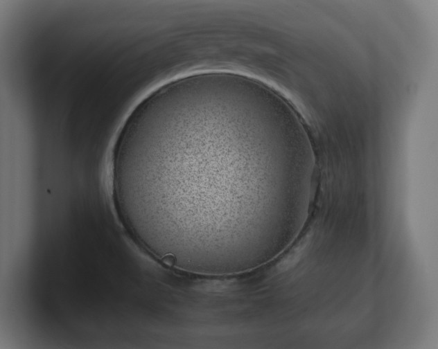 X0000101651519200807171242