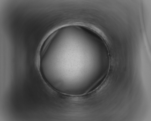 X0000101651520200807171242