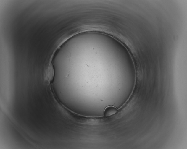 X0000101651521200807171242