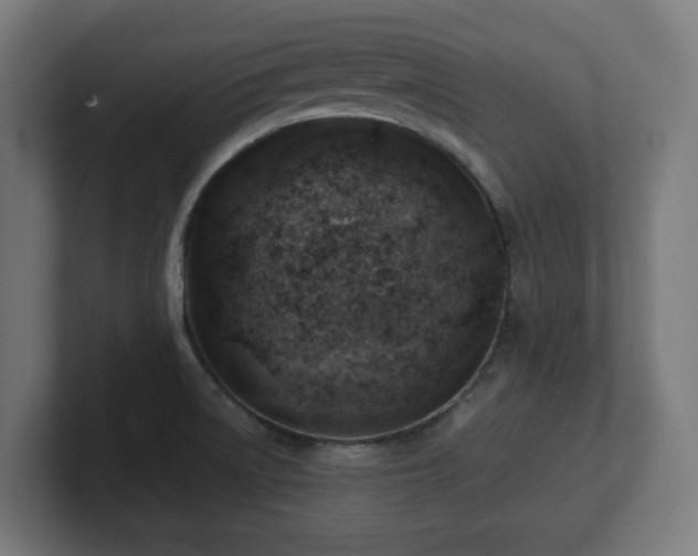 X0000101651522200807171242