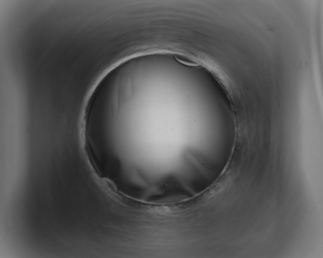 X0000101651524200807171242