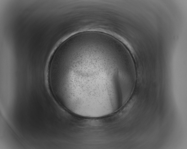 X0000101651525200807171242