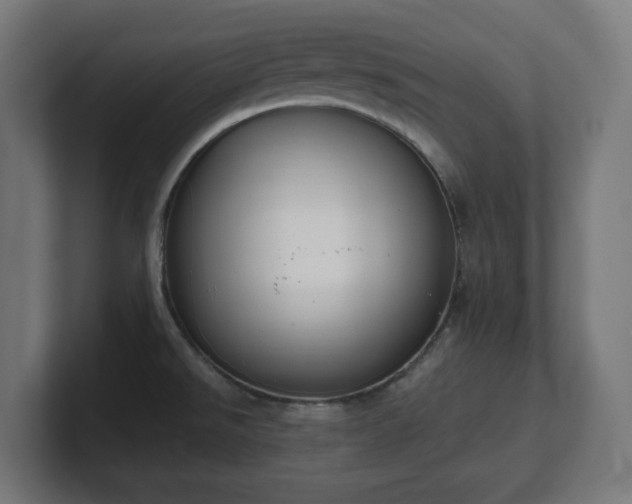 X0000101651526200807171242