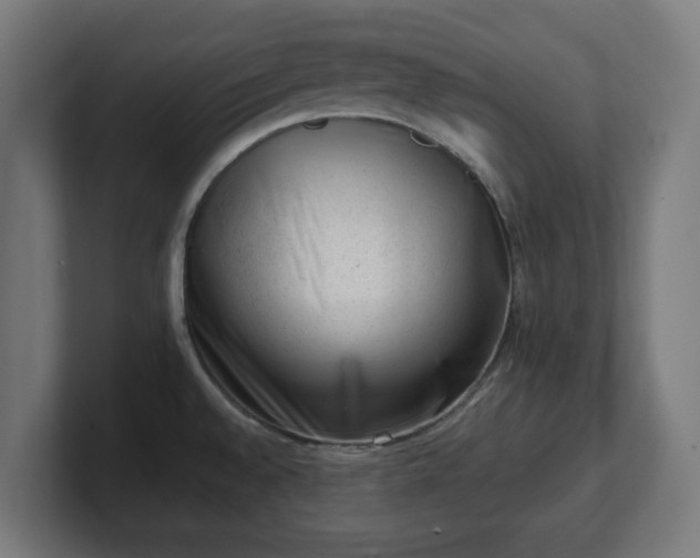 X0000101651528200807171242