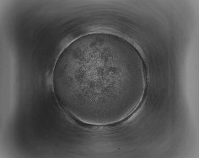 X0000101651529200807171242