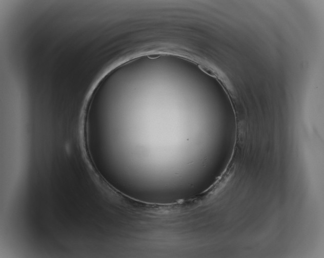 X0000101651530200807171242