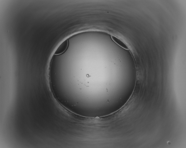 X0000101651532200807171242