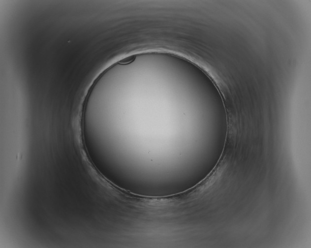 X0000101651534200807171242