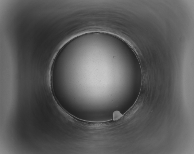 X0000101651535200807171242