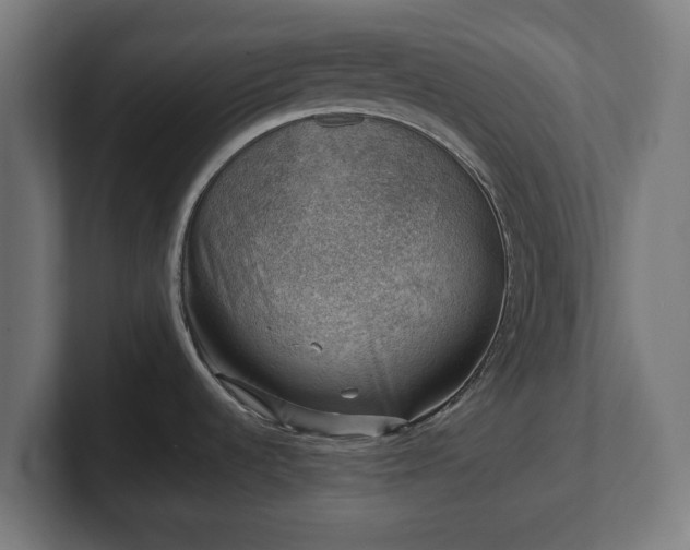 X0000101651536200807171242