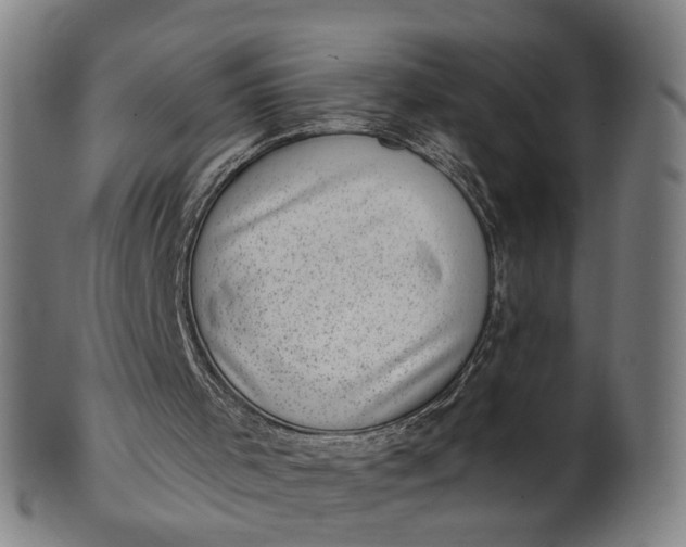 X0000101650001200807241405