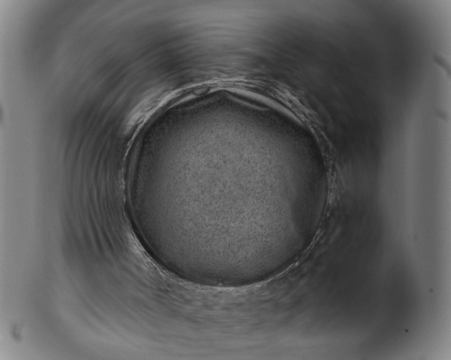 X0000101650002200807241405