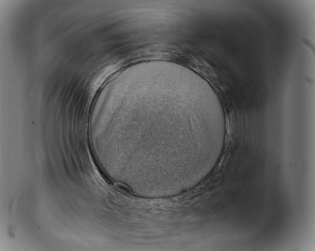 X0000101650003200807241405