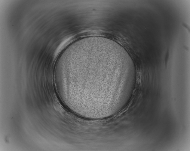 X0000101650004200807241405
