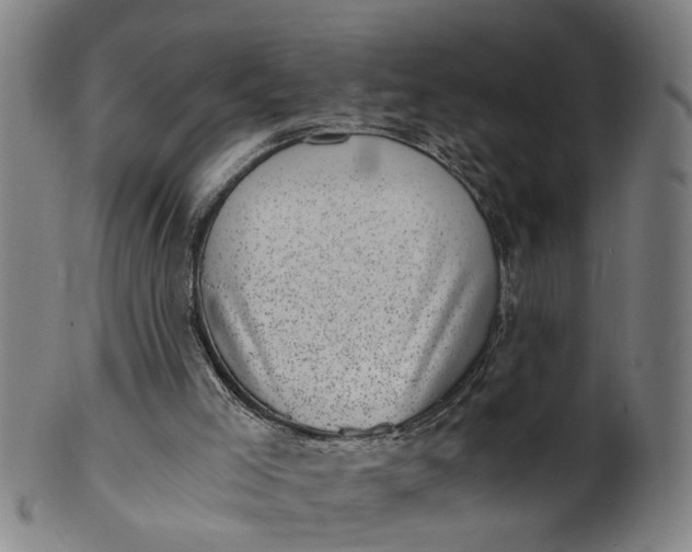 X0000101650005200807241405