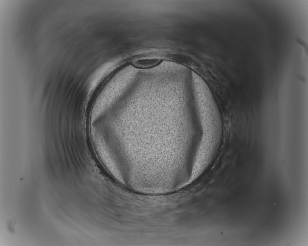 X0000101650006200807241405